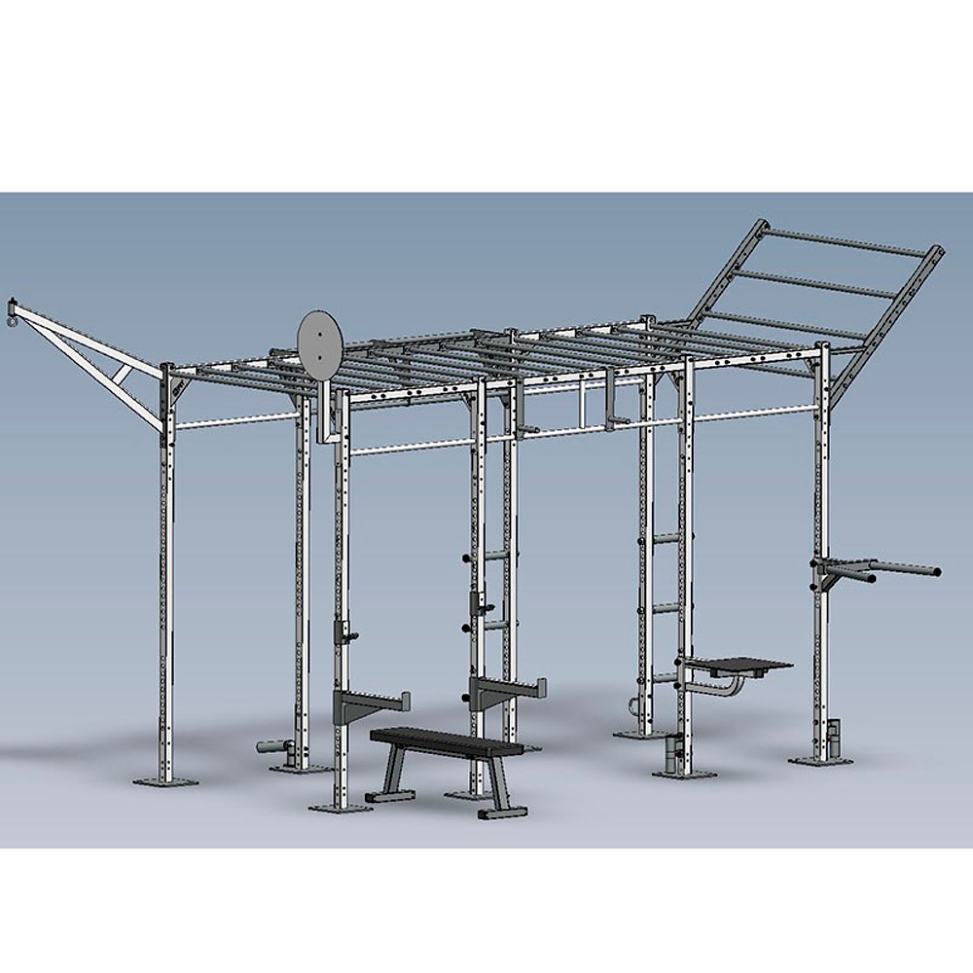 FUNCTIONAL TRAINING RIG BASIC