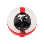 BOLA PARA SUSPENDER TOPGIM XS TRAINING