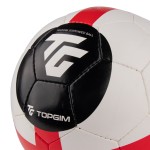 BOLA PARA SUSPENDER TOPGIM XS TRAINING