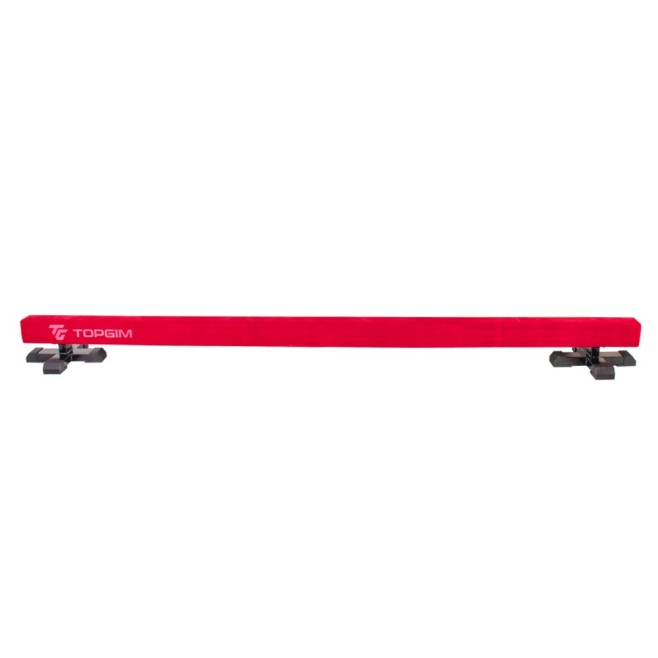 VIGA OLÍMPICA INICIACIÓN