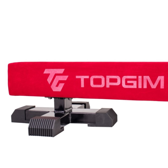 VIGA OLÍMPICA INICIACIÓN