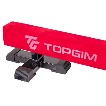 VIGA OLMPICA INICIACIN