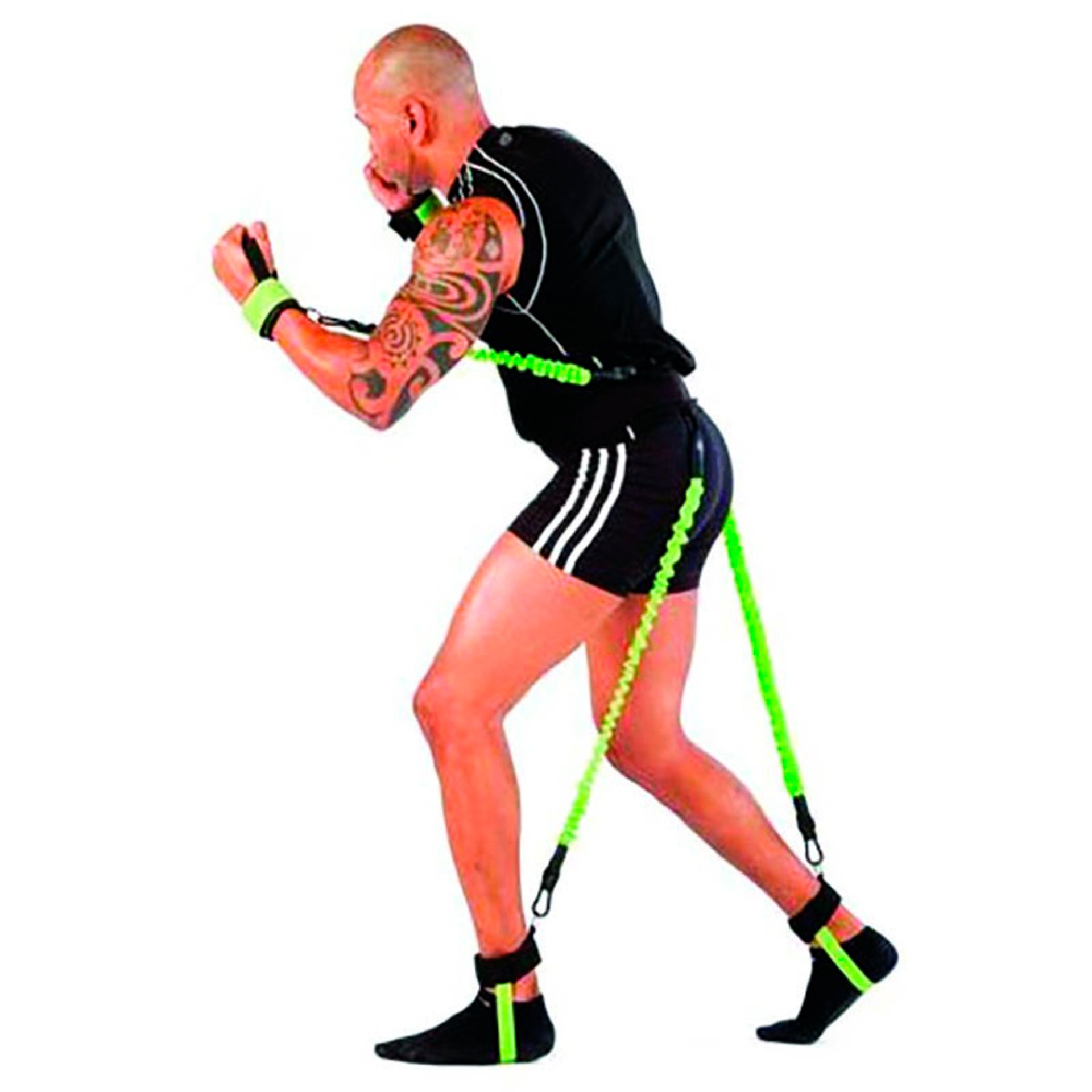 COLOCAR. ELÁSTICOS PARA EL ENTRENAMIENTO DE ARTES MARCIALES