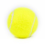BOLA TNIS DE CAMPO TOPGIM TRAINING