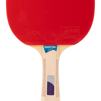 PALA DE TENIS DE MESA TOPGIM TAICHI 3*