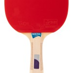 RAQUETE TNIS DE MESA TOPGIM TAICHI 3*