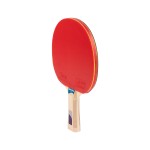 RAQUETE TNIS DE MESA TOPGIM TAICHI 3*