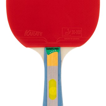 PALA DE TENIS DE MESA TOPGIM KARATE 4*