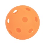 BOLA PICKLEBALL TOPGIM 26 INDOOR