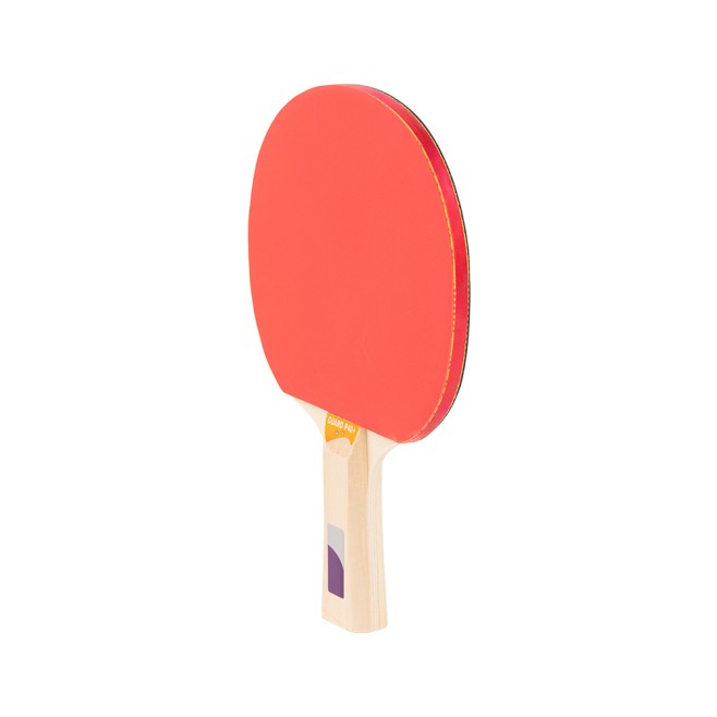 PALA DE TENIS DE MESA TOPGIM GUARD 2*