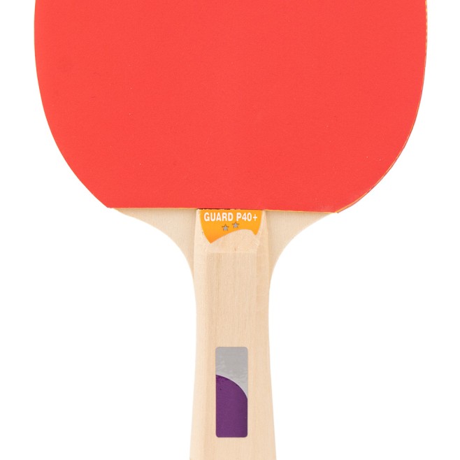 PALA DE TENIS DE MESA TOPGIM GUARD 2*