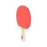 RAQUETE TNIS DE MESA TOPGIM GUARD 2*