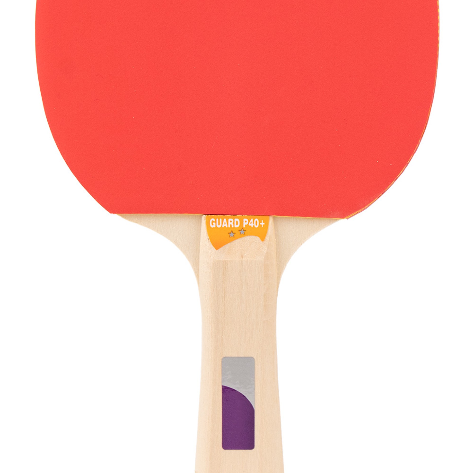 PALA DE TENIS DE MESA TOPGIM GUARD 2*