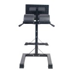 BANCO GHD (Glute Ham Developer)