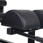 BANCO GHD (Glute Ham Developer)