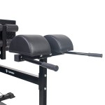 BANCO GHD (Glute Ham Developer)