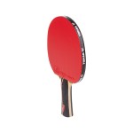 RAQUETE TNIS DE MESA TIBHAR JORGIC