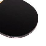 RAQUETE TNIS DE MESA TIBHAR JORGIC