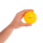 BOLA PICKLEBALL SOFTJIM BASIC