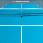 REDE PORTTIL PICKLEBALL HEAD NET SYSTEM