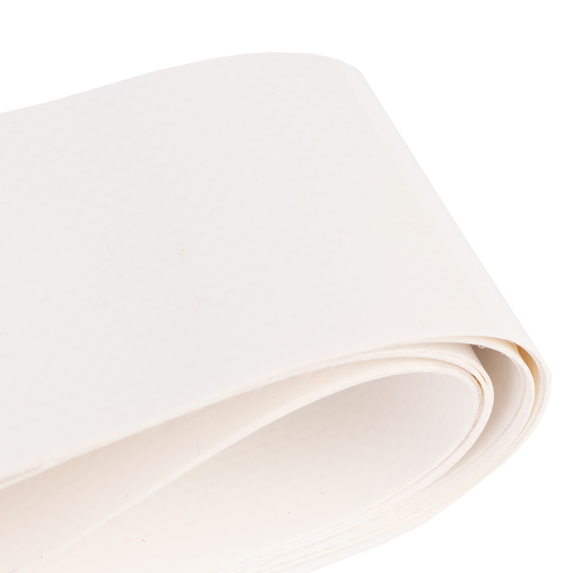 CENTRO DE GUIA DE RED DE TENIS