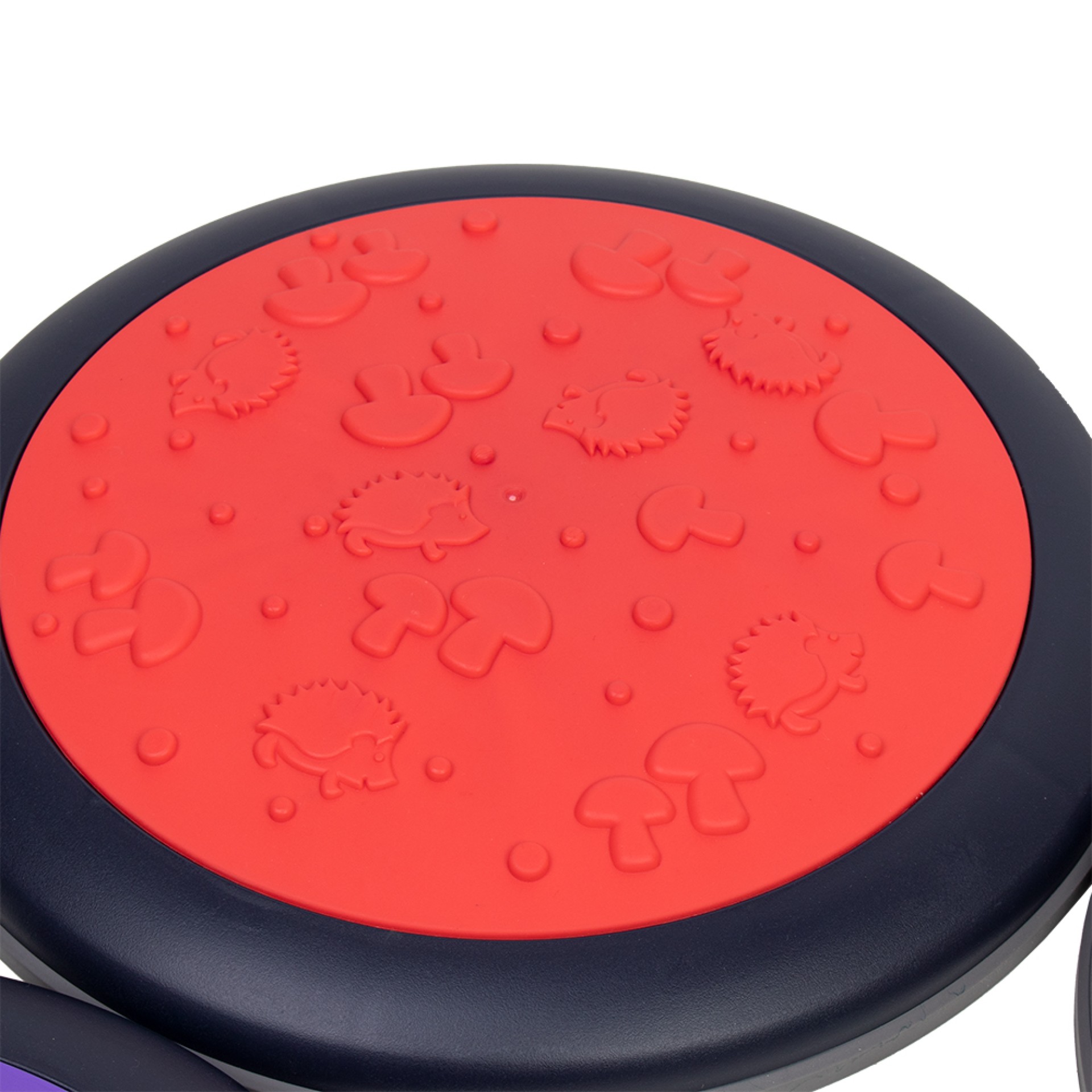 JUEGO DE DISCOS TÁCTILES CIRCULARES