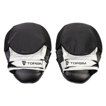 FOCUS PAD PRECISION FOCUS PAD PRECISION