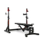 BANCO MULTIPOSIES BH FITNESS OLYMPIC RACK