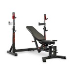 BANCO MULTIPOSIES BH FITNESS OLYMPIC RACK