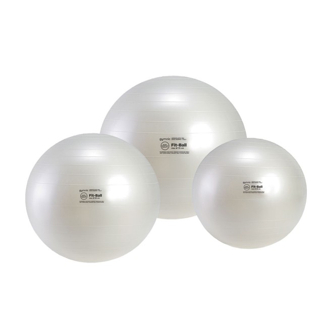 BOLA LEDRA FIT BALL
