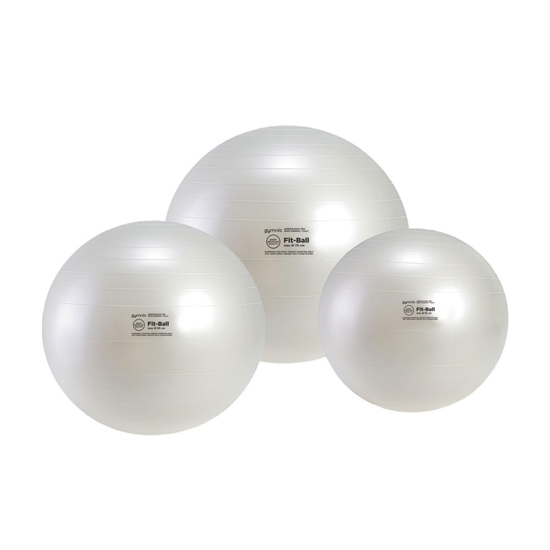 BALÓN LEDRA FIT BALL