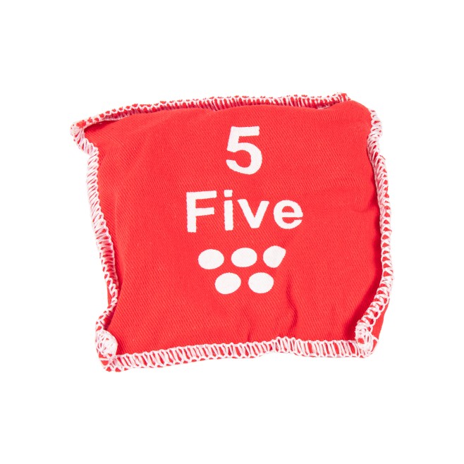 CONJUNTO DE 10 SACOS COM NUMERAÇÃO EM INGLÊS