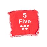 CONJUNTO DE 10 SACOS COM NUMERAO EM INGLS