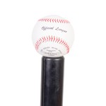 ADJUSTABLE BASEBALL HOLDER