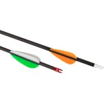 FLECHA SOUL CARBON EMPIRE