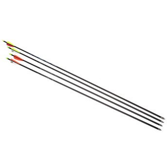 EASTON CARBON INSPIRE ARROW