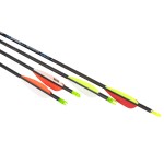 FLECHA EASTON CARBON INSPIRE