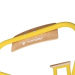 BEACH VOLLEYBALL REFEREE LADDER