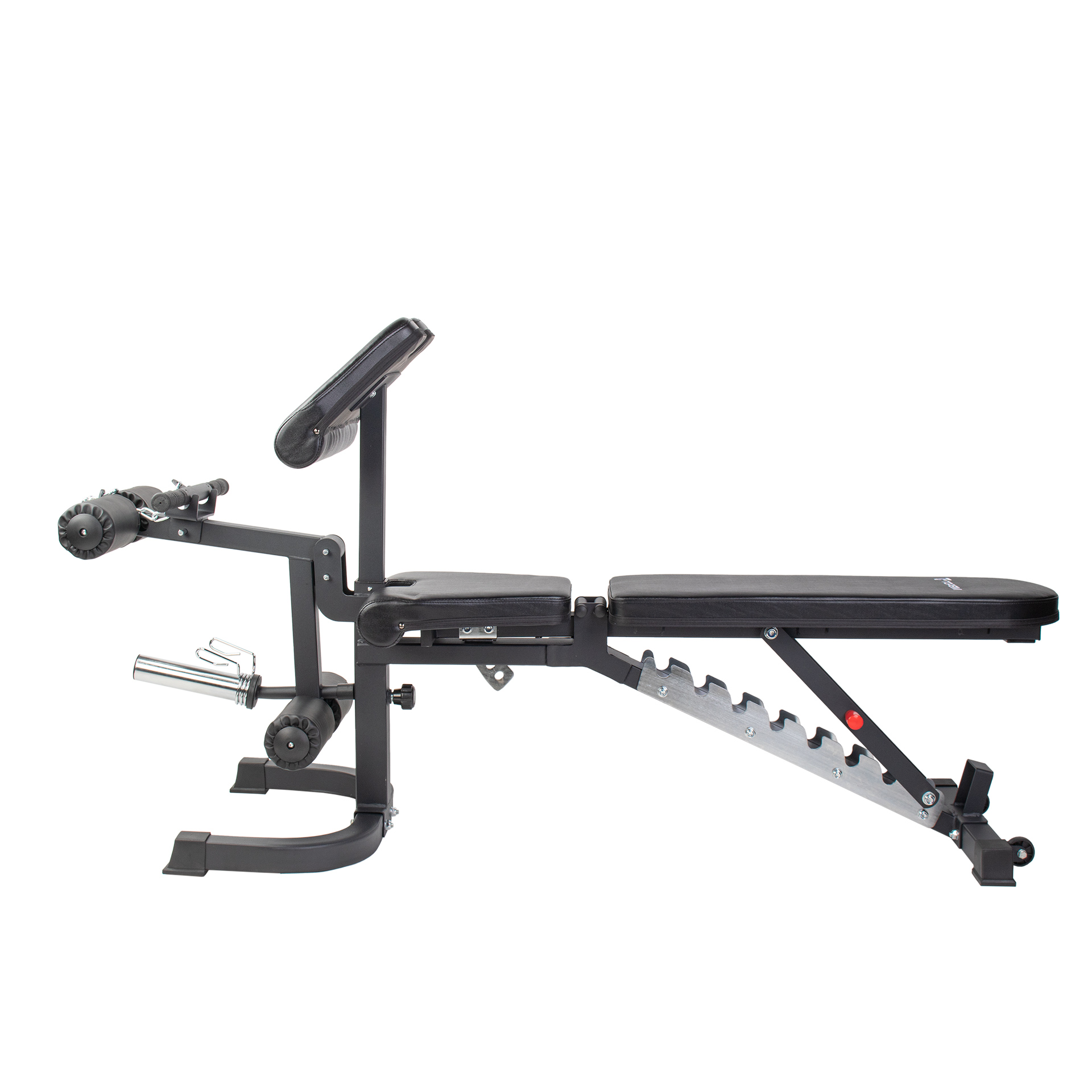 BANCO MULTIFUNCIONES D1000