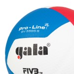 BOLA VOLEIBOL T5 GALA BV5595S APROV. FPV/FIVB