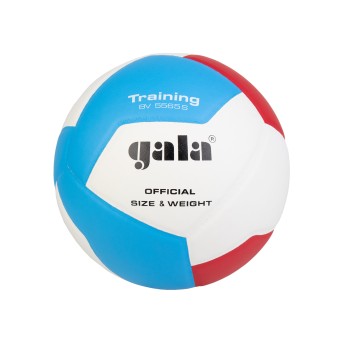 BOLA VOLEIBOL T5 GALA BV5565S APROV. FPV