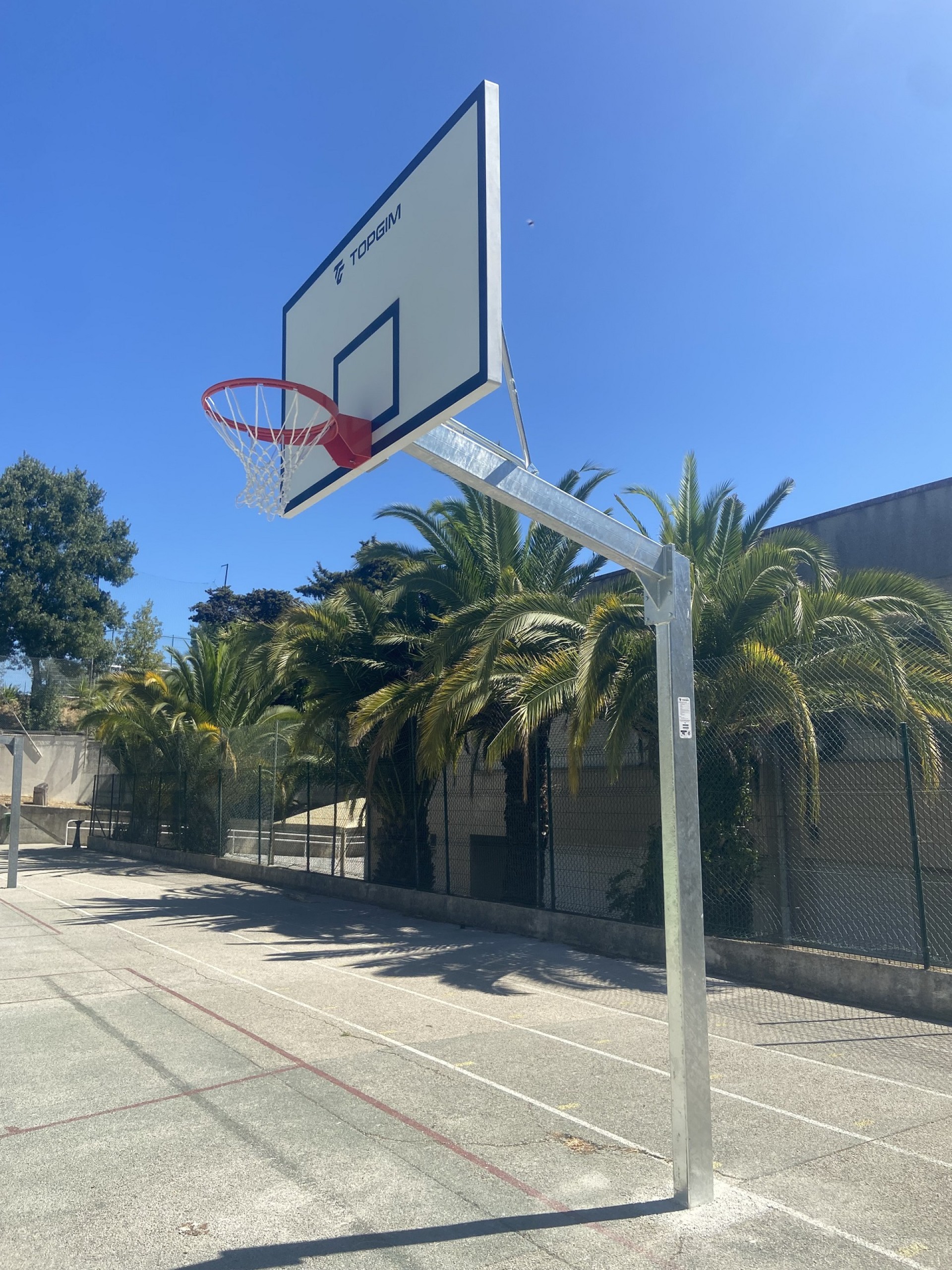 CONJUNTO COMPLETO DE BALONCESTO EUROPEO