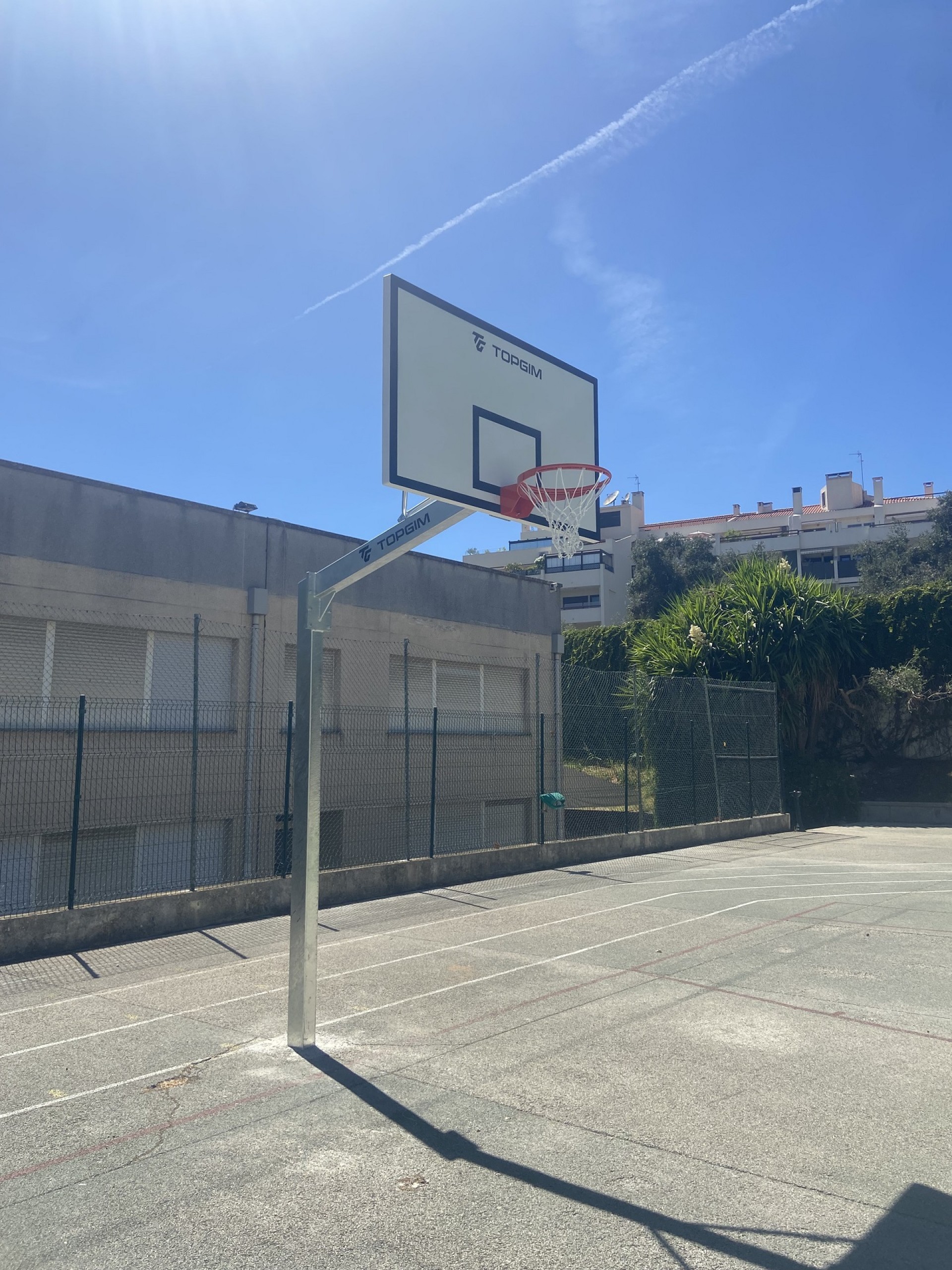 CONJUNTO COMPLETO DE BALONCESTO EUROPEO