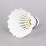 BADMINTON SHUTTLECOCKS CARLTON GT4 (12 UNITS)
