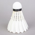 BADMINTON SHUTTLECOCKS CARLTON GT4 (12 UNITS)