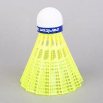 BADMINTON SHUTTLECOCKS CARLTON F1 (6 UNITS)