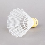 BADMINTON SHUTTLECOCKS CARLTON C100 (6 UNITS)