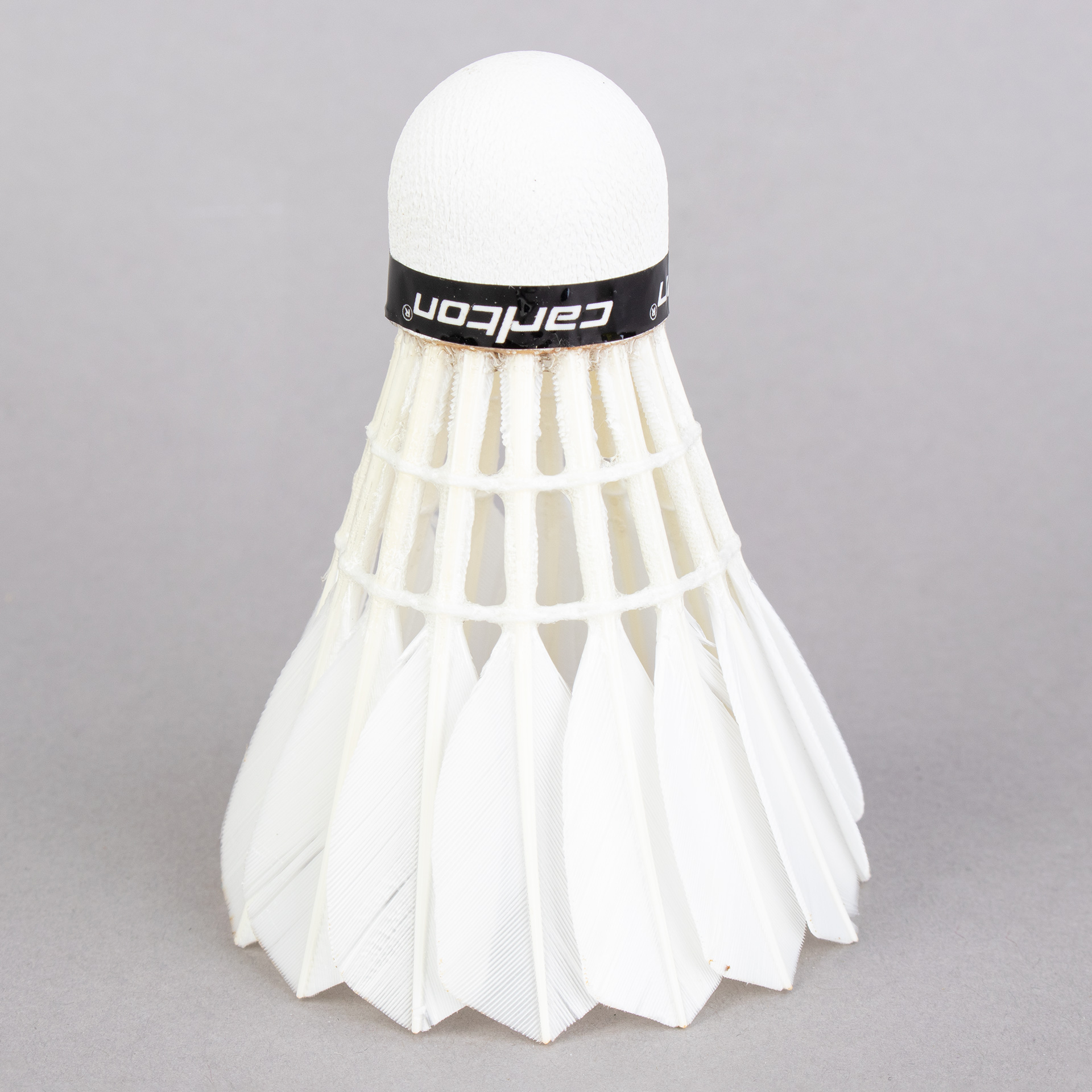 VOADORES CARLTON GT2 (12 UNIDADES)