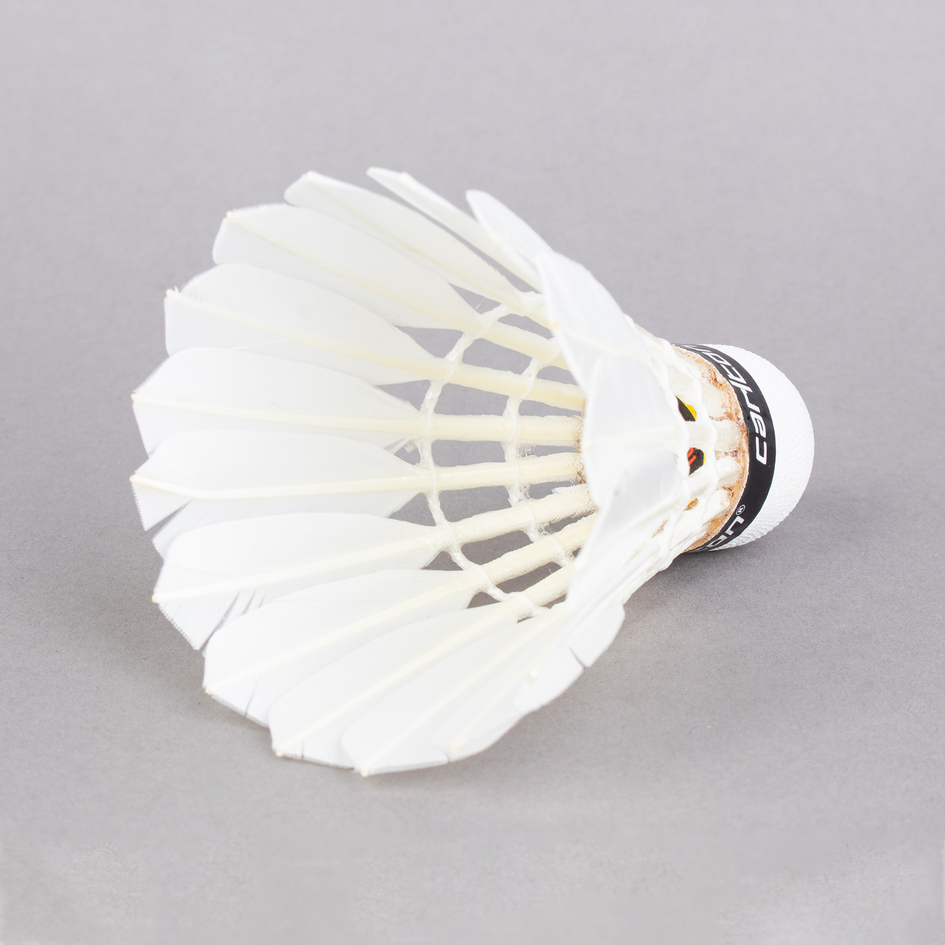 VOADORES CARLTON GT2 (12 UNIDADES)