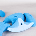 SET OF 5 LARGE CLIMBING HOLDS - L